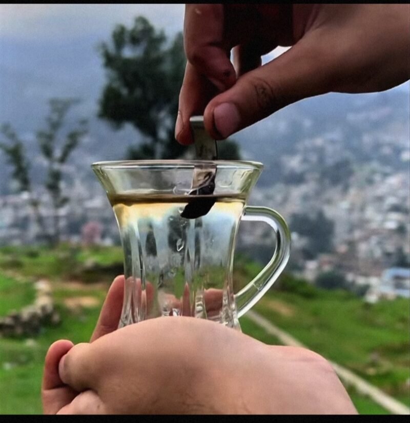 Pure 30 Gram salajeet
