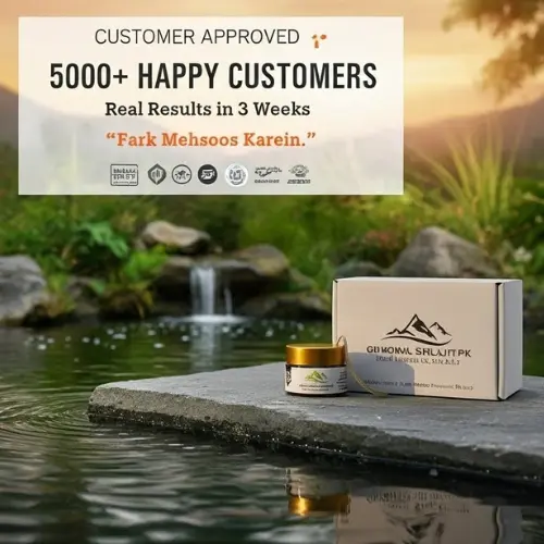 Real himalyan Shilajit