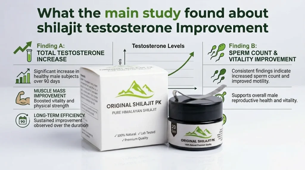 What the main study found about shilajit